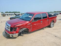 Salvage trucks for sale at Harleyville, SC auction: 2014 Ford F150 Supercrew