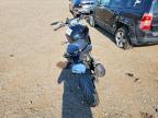 2024 BMW G310 R
