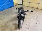 2024 Harley-Davidson RH1250 S