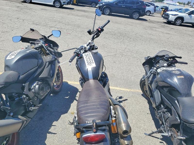 2021 Triumph Scrambler 1200 XC