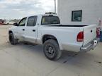 2001 Dodge Dakota Quattro