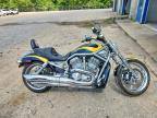 2006 Harley-Davidson Vrscr