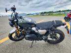 2026 Triumph Scrambler 900