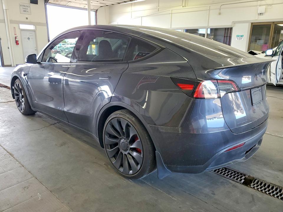 2024 Tesla Model y