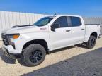 2023 Chevrolet Silverado K1500 Trail Boss Custom