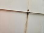 2020 Wells Cargo WVHD8524T4 Enclosed Cargo Trailer