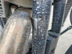 2000 Harley-Davidson XL883