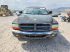 1999 Dodge Dakota