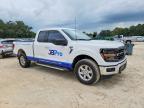 2025 Ford F150 XLT