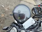 2025 Triumph Speed Twin 900