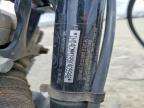 2005 Harley-Davidson XL883 L