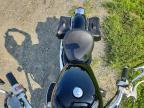 1995 Honda VT1100 C2