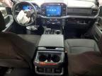 2025 Ford F150 XLT