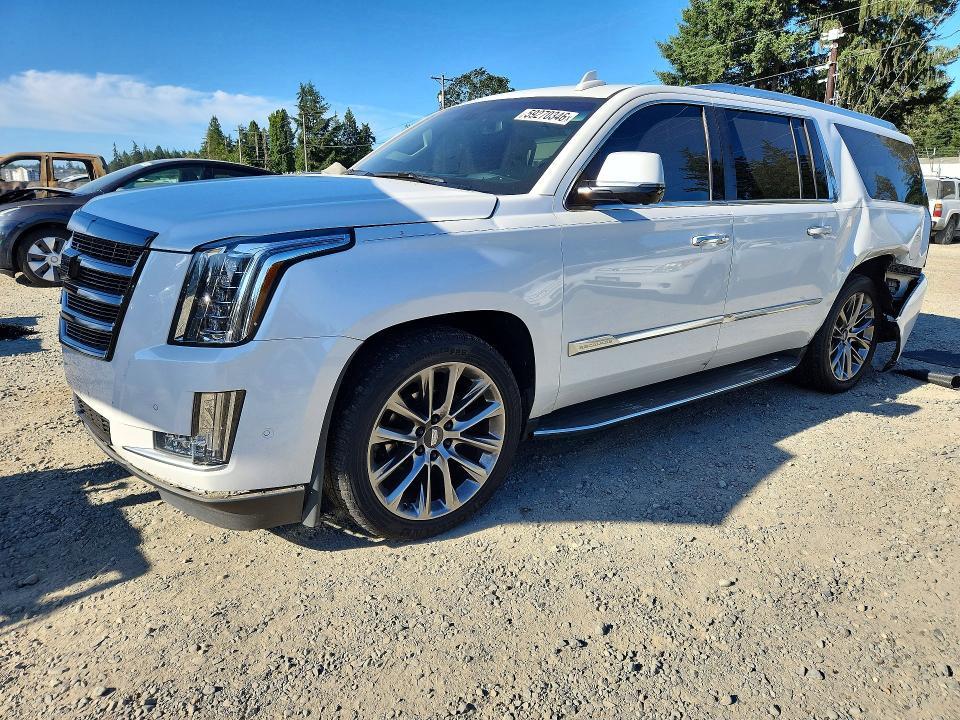 2018 Cadillac Escalade esv Luxury