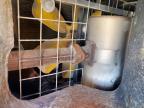 2005 Hyster Forklift