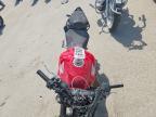 2025 Honda CBR500 RA