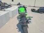 2025 Kawasaki EX500 H