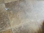 2013 Forest River, Inc. Rockwood Lite Weight