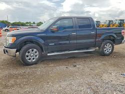 Salvage Trucks for sale at auction: 2013 Ford F150 Supercrew