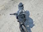 2025 Yamaha MTN690