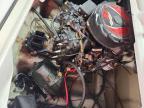 2002 Sea-Doo Speedster