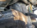 1995 Honda VF750 CD