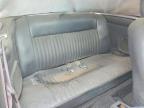 1973 Other Stag
