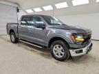 2025 Ford F150 XLT