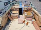 1982 Searay 1982 SEA RAY Amberjack-Boat