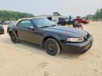 2003 Ford Mustang