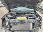 2025 Ford F150 XLT