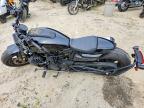 2023 Harley-Davidson RH1250 S