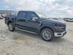 2024 Ford F150 XLT