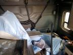 2016 Freightliner Cascadia 125 Semi Truck