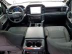 2025 Ford F150 STX