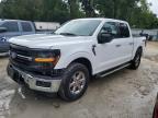 2025 Ford F150 XLT