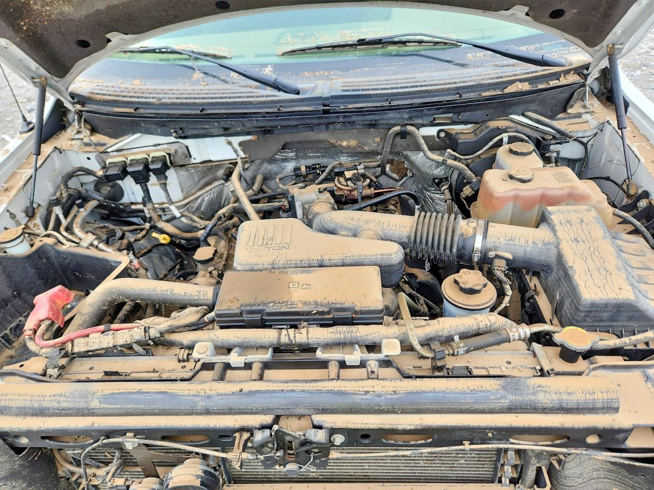 2010 Ford F150