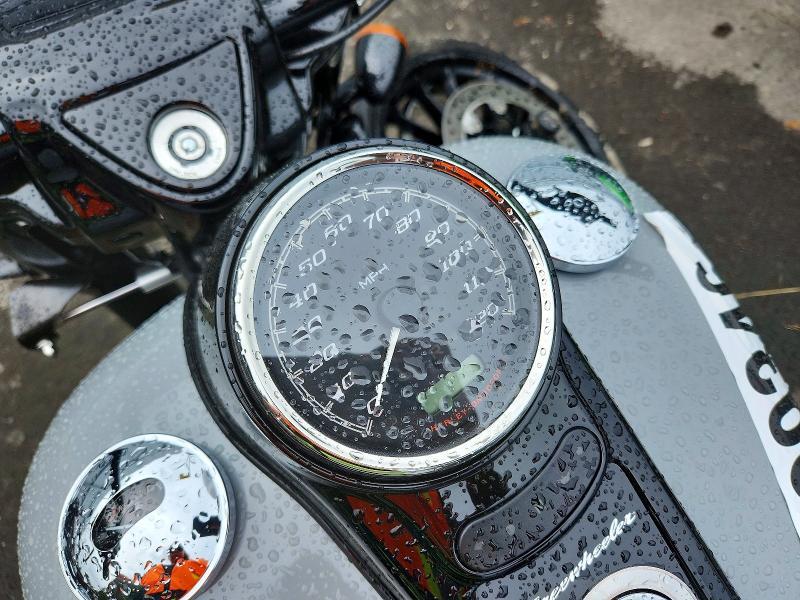 2024 Harley-Davidson Flrt