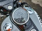 2024 Harley-Davidson Flrt