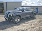 2023 Toyota Tundra 1794 Edition