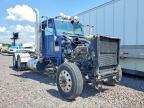 2019 Peterbilt 389 Semi Truck