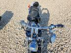 2001 Harley-Davidson Fxstdi