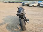 2023 Kawasaki ZX636 K