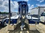 2017 Tiburon Cruiser