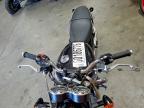 2024 Triumph Bonneville T100