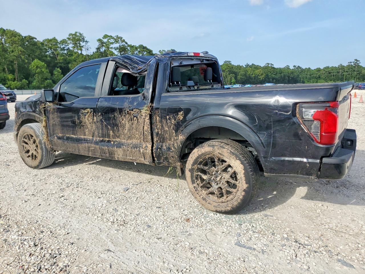2025 Ford F150 STX