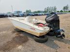 2019 Boat Bost Whale