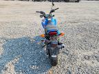 2025 Honda Grom 125