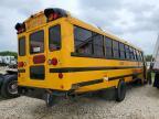 2024 Ic Bus PB105 School Bus