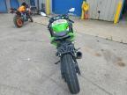 2025 Kawasaki EX500 H
